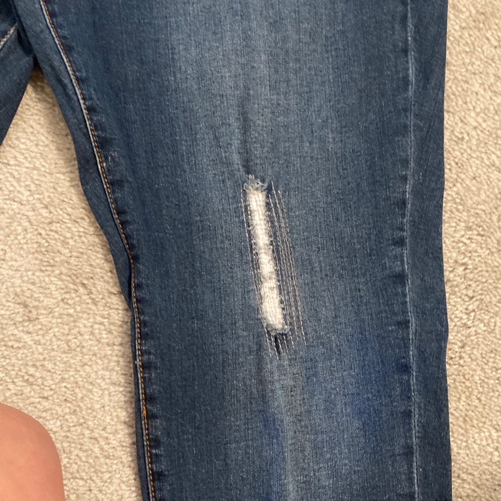 Earl Jean Classic Blue Distressed Women Jeans - Picture 3 of 6